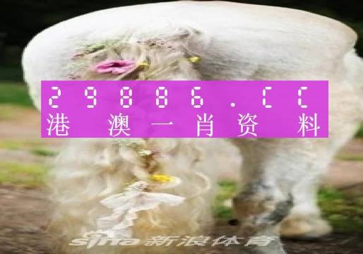 澳门四不像精准一肖一码,安全策略评估_XE版71.40