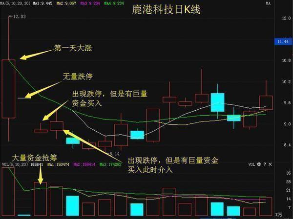 散户投资者交易特征深度剖析