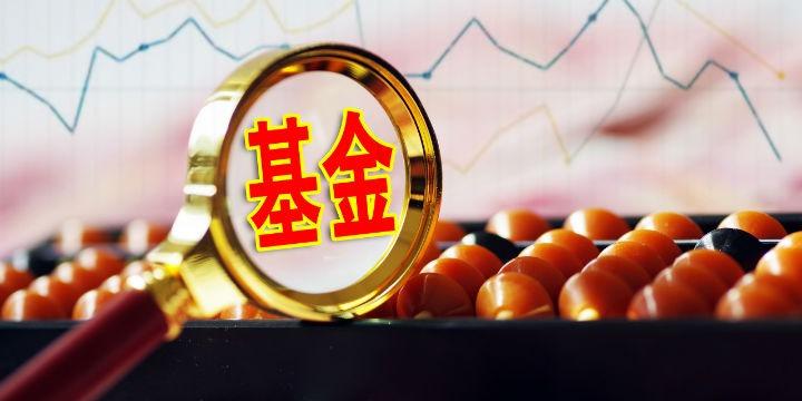 基金发行数据查看路径深度解析与分析报告