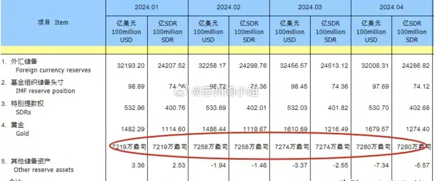 外汇400万出国两年，深度分析与策略应对指南