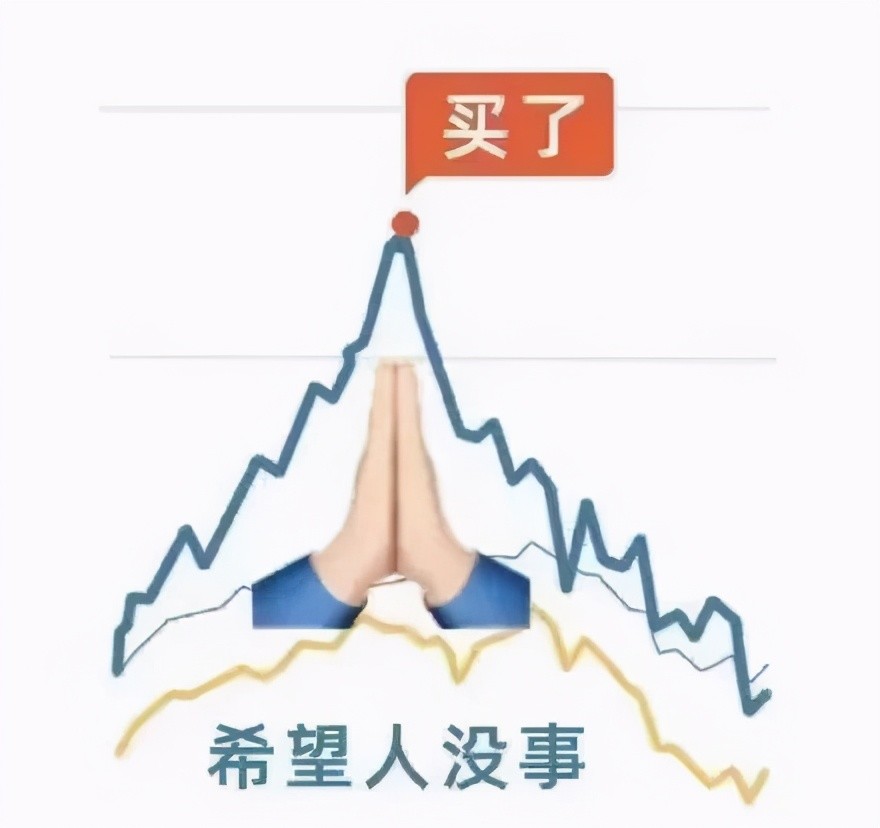 基金投资者最终下场分析报告，揭示投资结果与影响因素