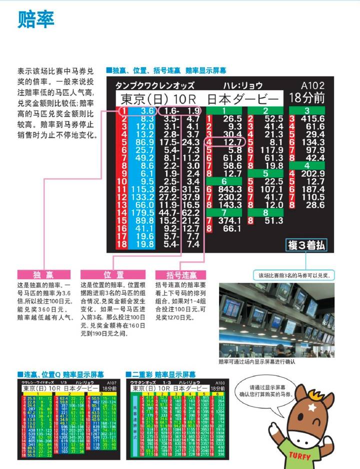 马会传真,国产化作答解释定义_QHD版15.54