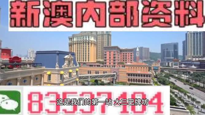 2024新澳精准正版资料,全面数据解析执行_旗舰版78.101