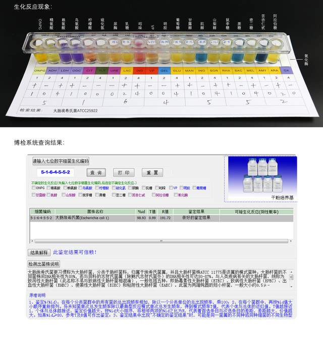 2024澳门今晚开奖记录,实地方案验证_Surface73.884