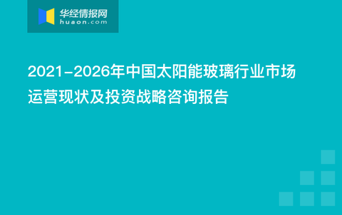 新澳内部资料精准一码,多样化策略执行_X版55.128