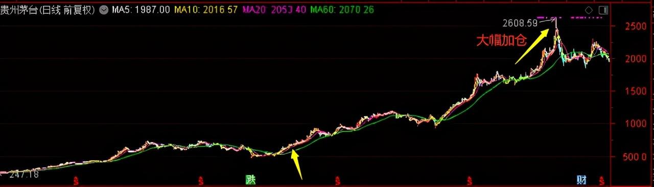 混合基金定义解析与特点探究