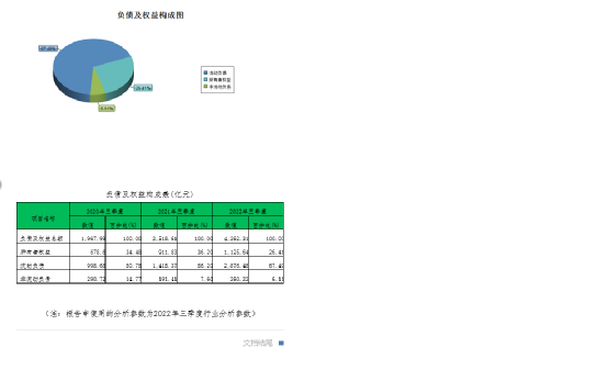 比亚迪经济效益分析，数据整合与数字化转型的力量探索