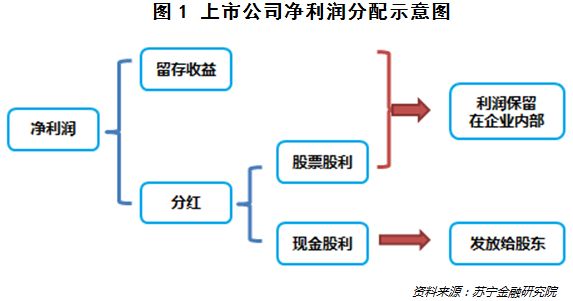 股票投资深度解析，数据整合与技术驱动策略应用探讨