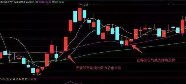 股票市场投资策略分析，数据整合与数字化转型的力量影响探讨