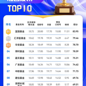 公募基金排名深度解析