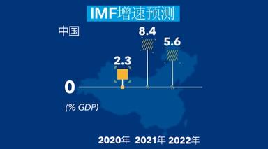 IMF世界经济展望报告揭示，全球经济数字化转型趋势显著，数据驱动下的未来展望