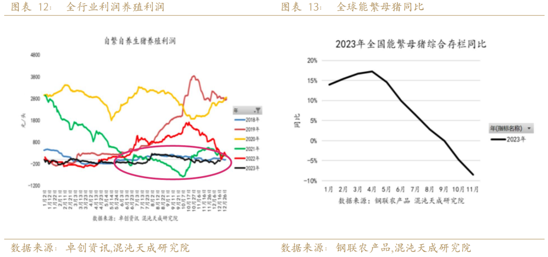 大宗商品市场趋势展望，2024年的机遇与挑战分析