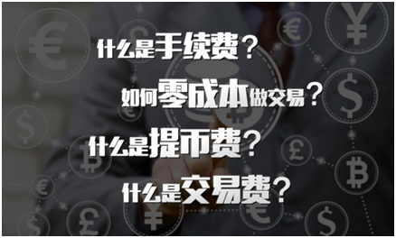 数字货币高额收益背后的秘密，项目背景深度解析、技术特点与实施策略深度探讨