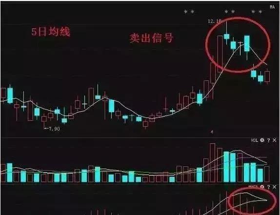 股市散户分类分析与数据整合策略研究