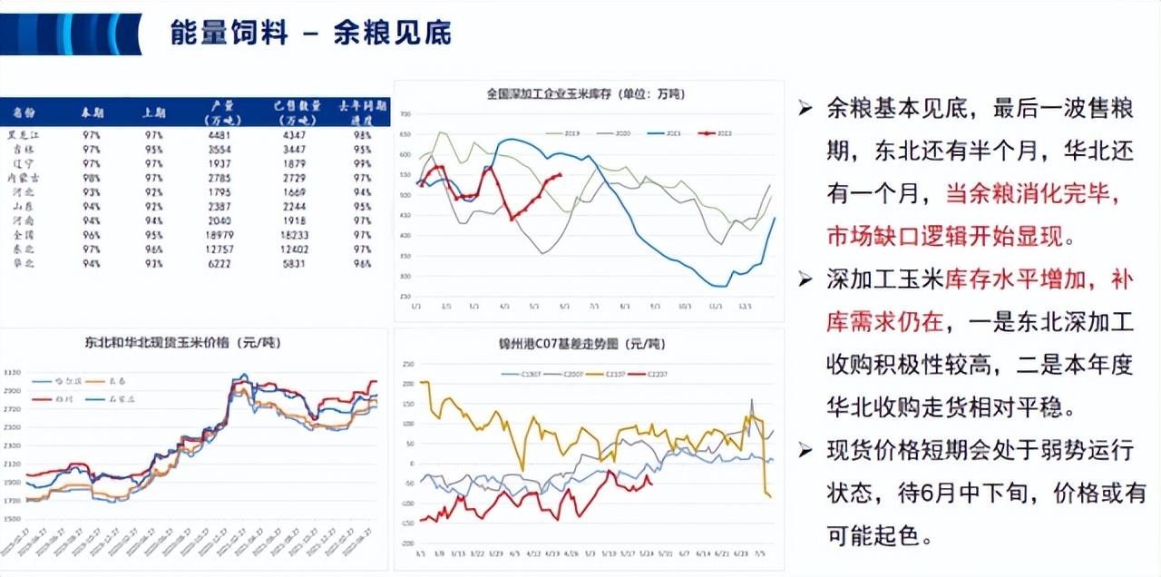 全球大宗货物市场分析与数字化转型，数据整合与技术驱动的力量