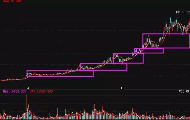 揭秘行业潜力股，数据整合与技术驱动下的数字化转型，低价股有望翻十倍增长潜力。