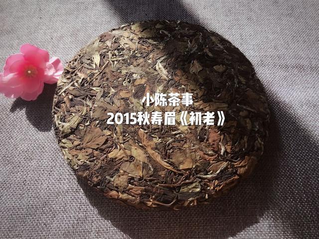 数据分析推动产业数字化转型的力量，白鹿踩茶饼体重不够的思考与启示