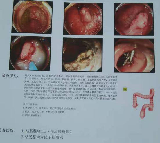 admin 第544页