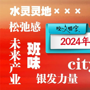 2024年十大流行语回顾，社会热点话题的焦点