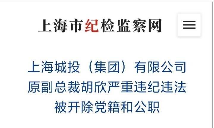 上海城投前副总裁胡欣被逮捕事件解析，数字化转型中的数据整合挑战与对策