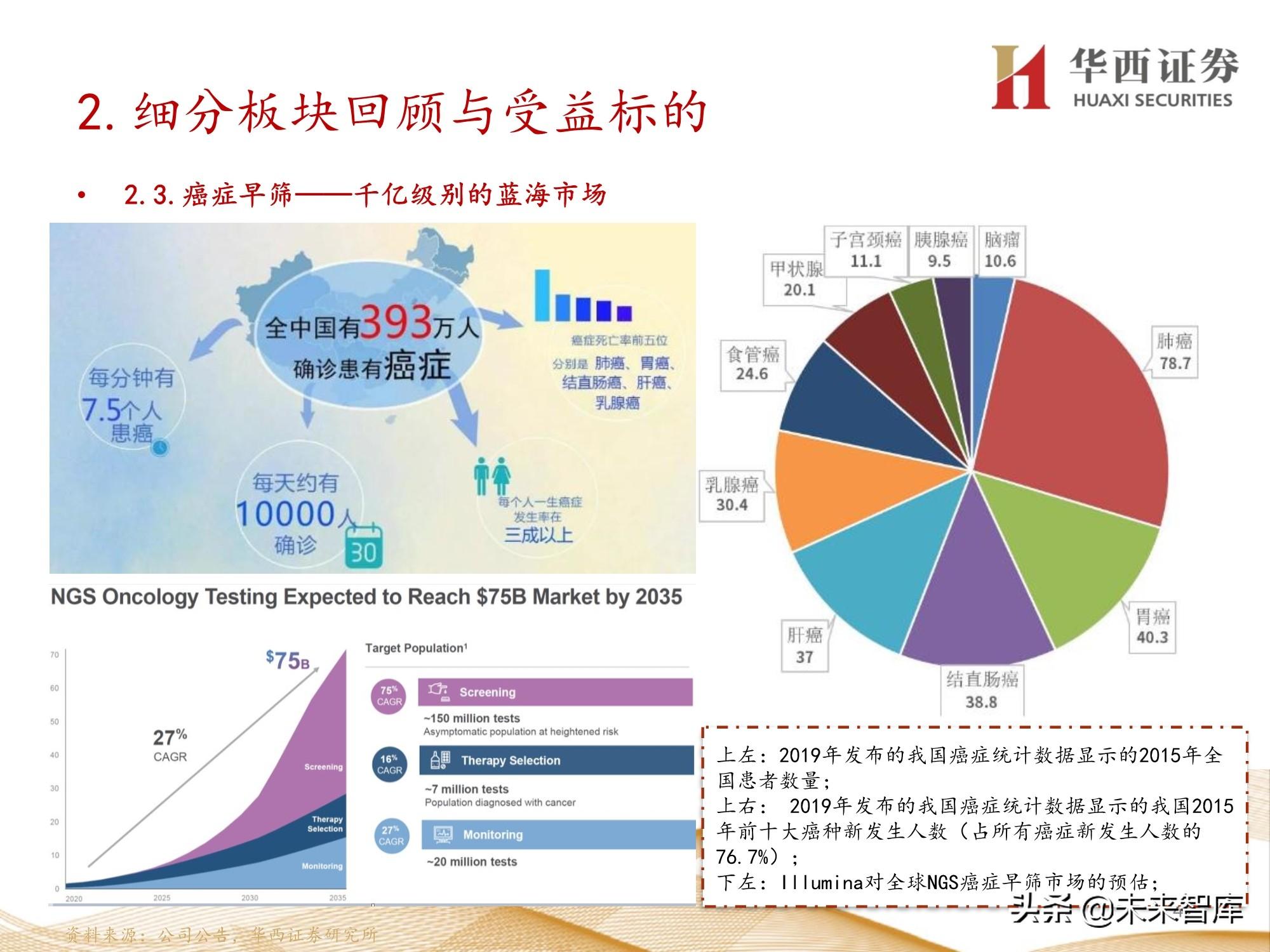 股票投资策略深度解析报告