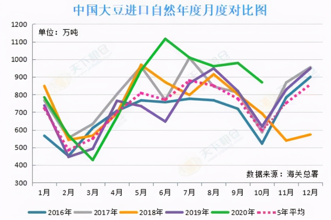 进口大豆到港最新动态解析