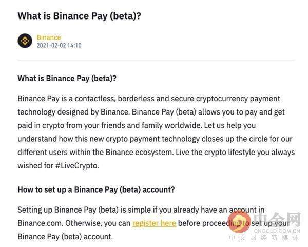 Binance Pay下载项目背景与深度解析