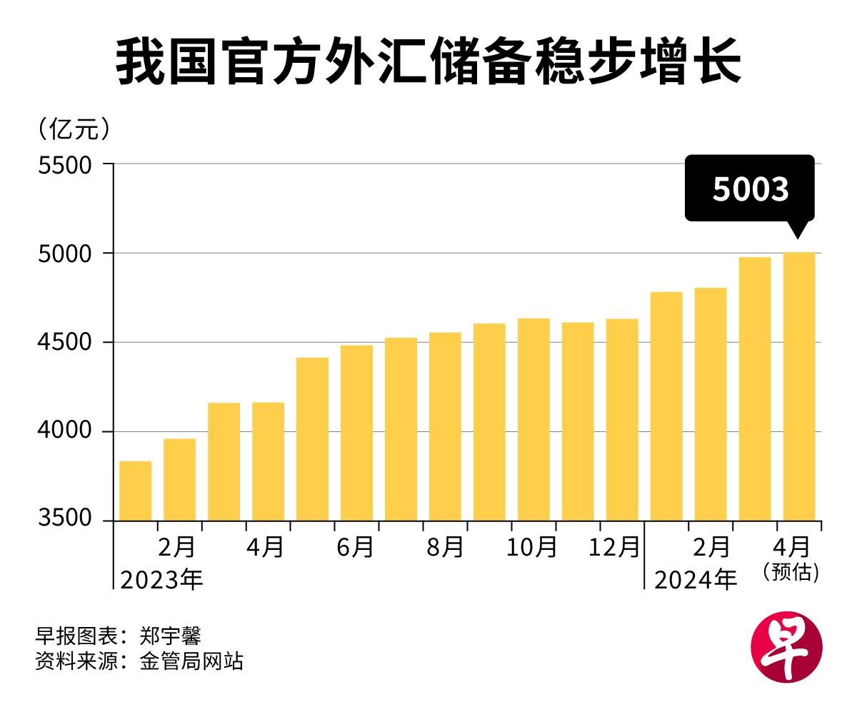 外汇储备项目背景与数据整合深度解析