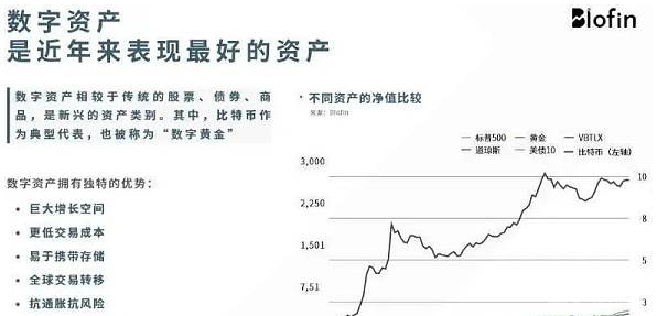 数字资产投资分析与策略，数据整合及技术特点的实施路径探讨