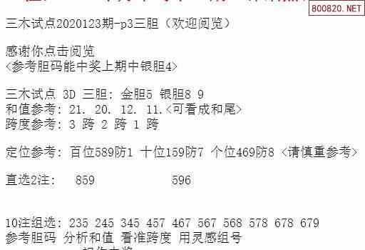 王中王三组三中三,稳定评估计划_挑战款54.850