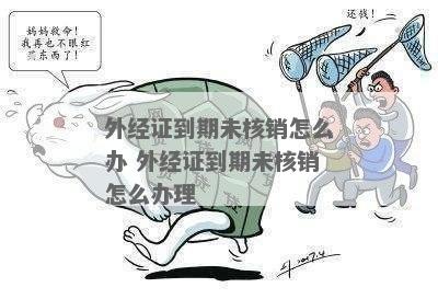 核销外经证与数字化转型中的技术解析及关键概念探讨