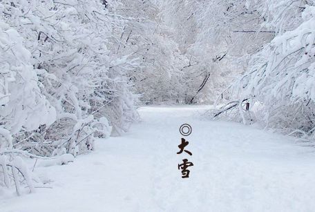 大雪纷飞，冬季的浪漫与美丽