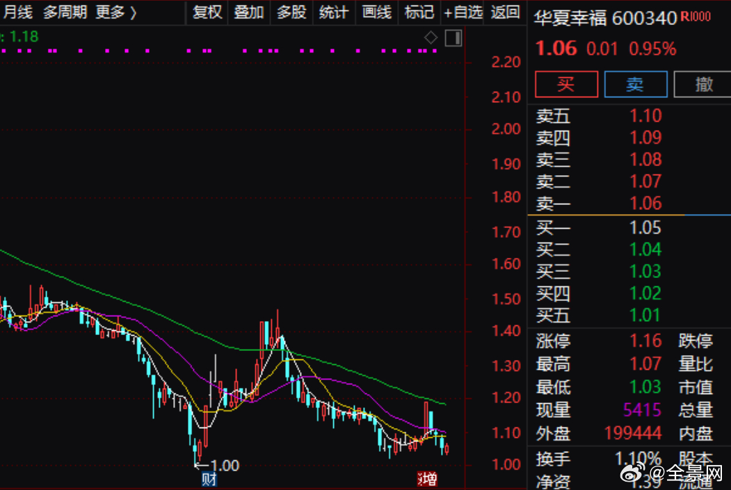 华夏行业数字化转型中的稳健亏损，分析与应对策略探讨