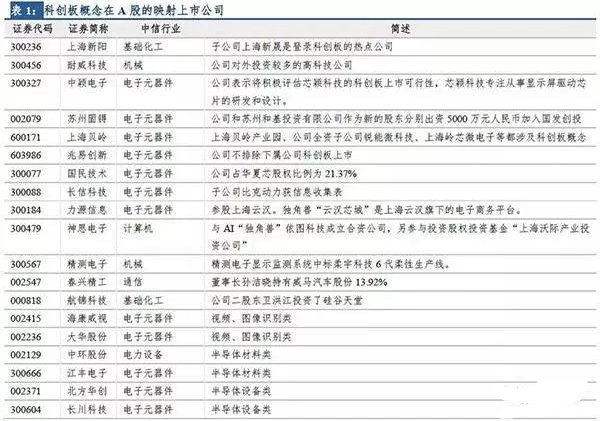 科创板龙头股一览表深度解析，数字化转型的关键角色与应对策略