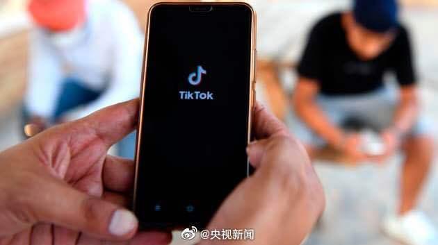 TikTok策略分析，寻求临时禁制令与数字化策略探讨