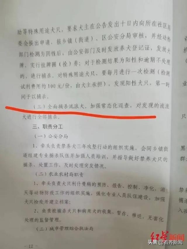 禁止养宠物，规定出台