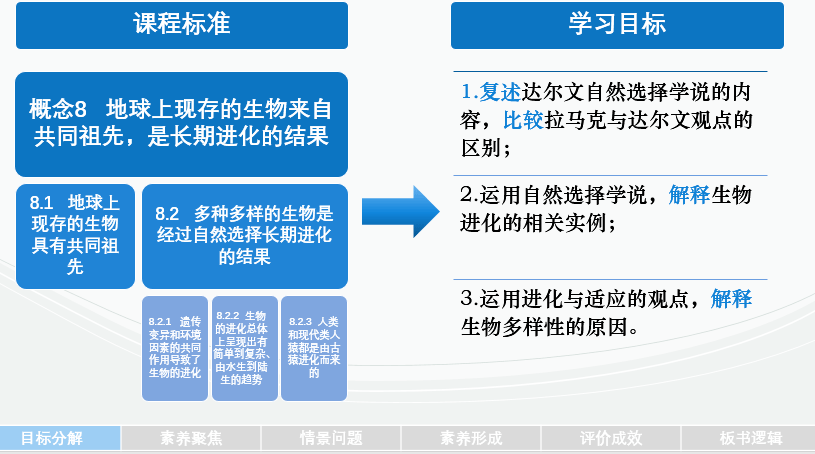 精准一肖一码一子一中,结构化评估推进_5DM19.456