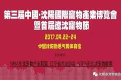 中国数字化转型中的社会现象分析与数据整合作用探究