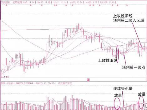 股票交易策略分析，数据整合与数字化转型的关键作用