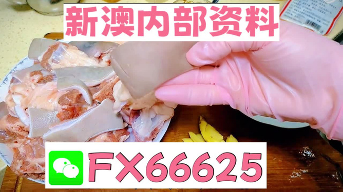 新澳精准资料免费提供,动态说明解析_XT58.455