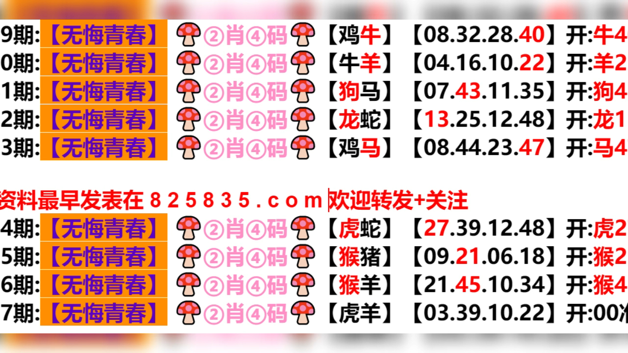 2024年新奥门天天开彩,权威研究解释定义_标配版84.272