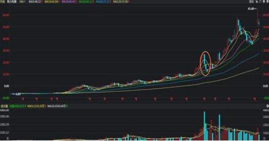 数据整合与技术驱动下的高增长股票数字化转型分析