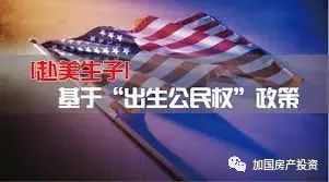 特朗普计划取消出生公民权