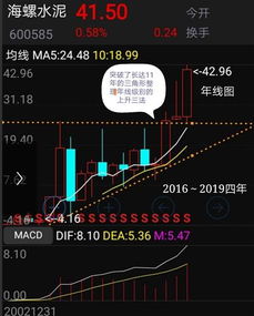 2020白马蓝筹股概览及分析研究报告