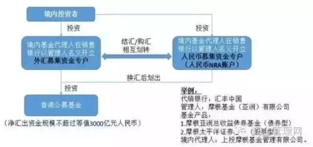 外汇轴心点交易系统的深度分析与数字化转型实践研究