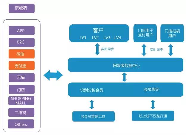 澳门今晚必开一肖一特,快速解答策略实施_Q97.676