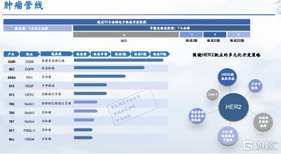 新奥天天免费资料大全正版优势,实地分析解释定义_mShop17.750