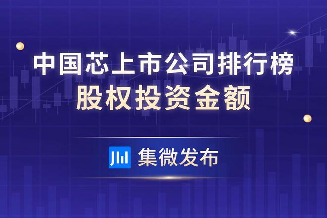 股权投资公司上市公司数据分析，背景探究、技术特色与实施策略