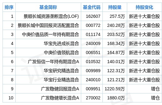 十大稳健基金排名深度解析