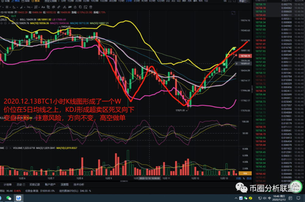 散户与非散户数字化转型差异解析，投资策略与行为模式对比研究